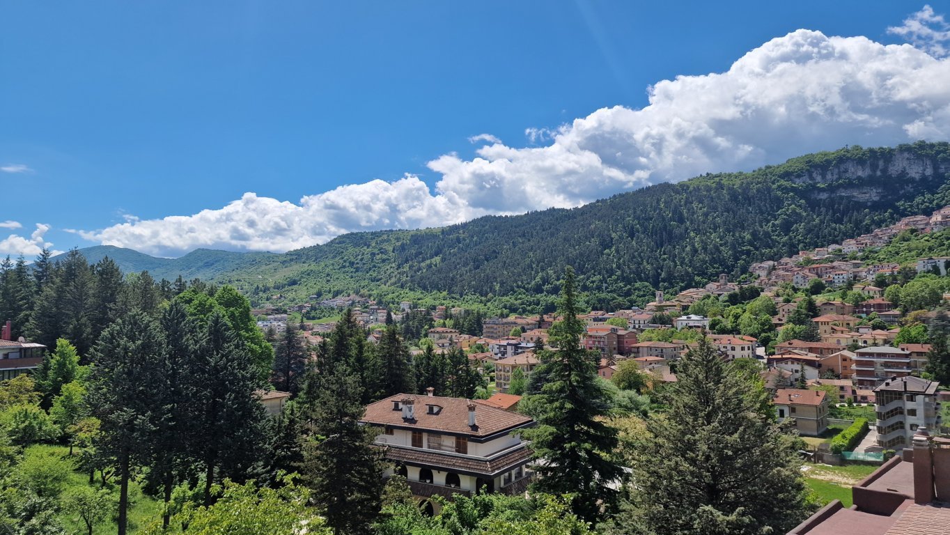 Panorama